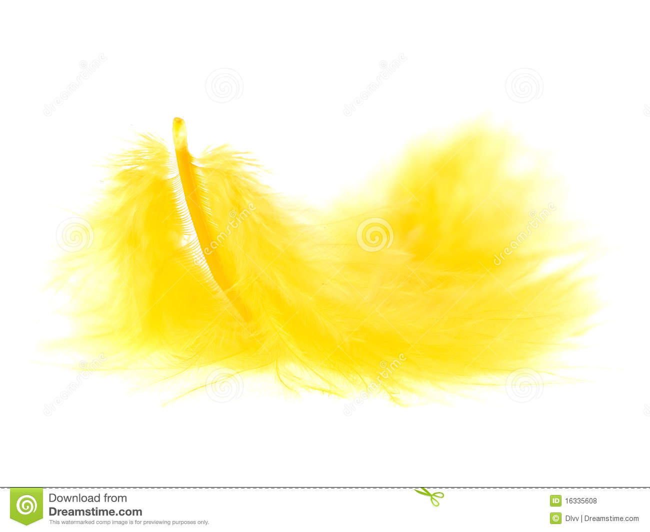 Yellow Feather On White Royalty Free Stock Photos   Image  16335608