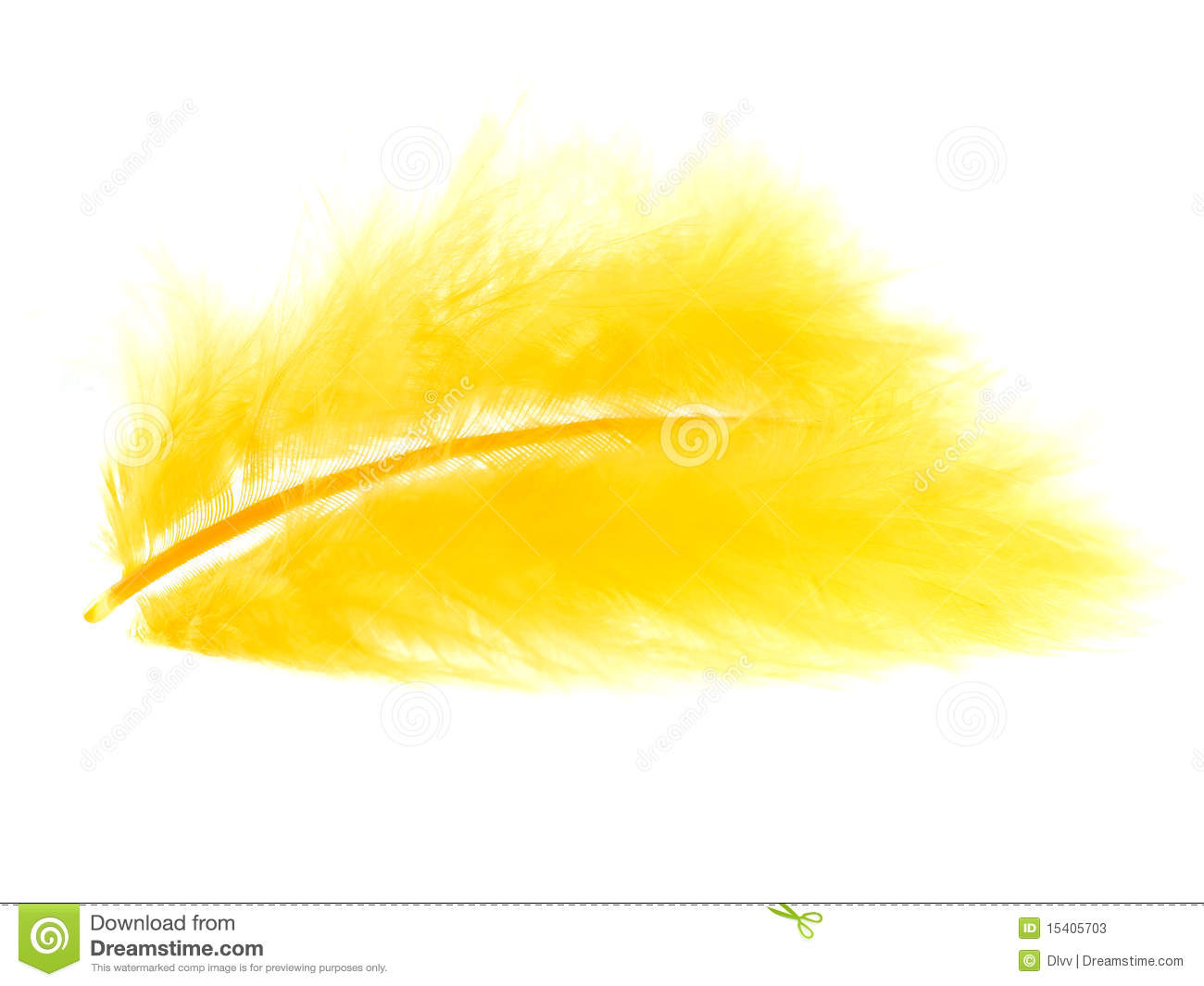 Yellow Feather On White Stock Photos   Image  15405703