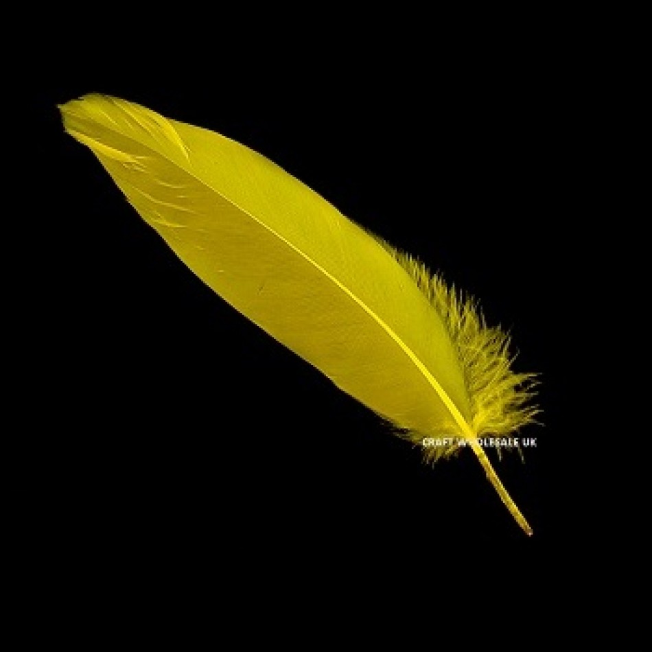 Yellow Feather Png Yellow Feathers
