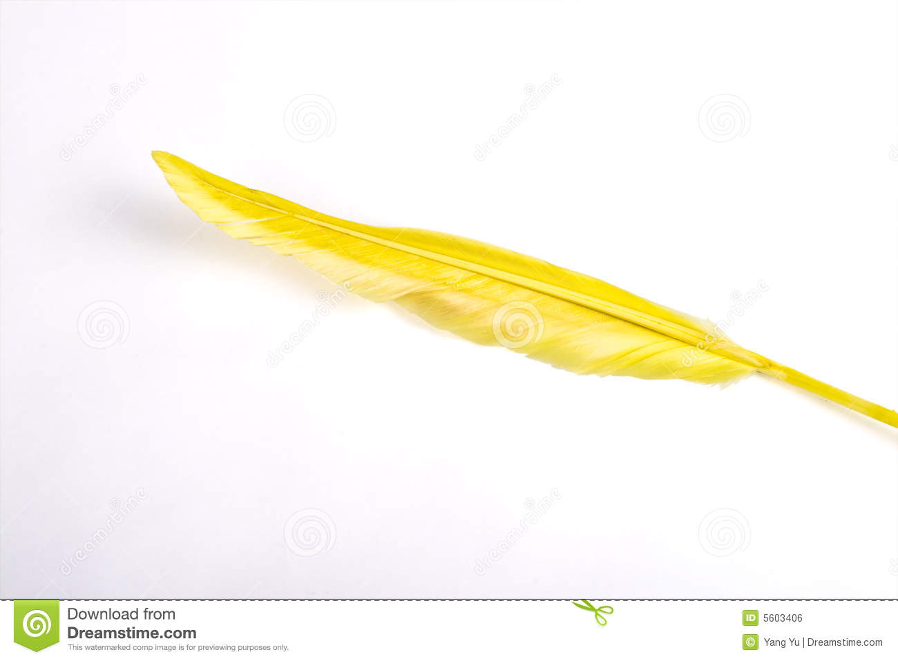 Yellow Feather Royalty Free Stock Image   Image  5603406
