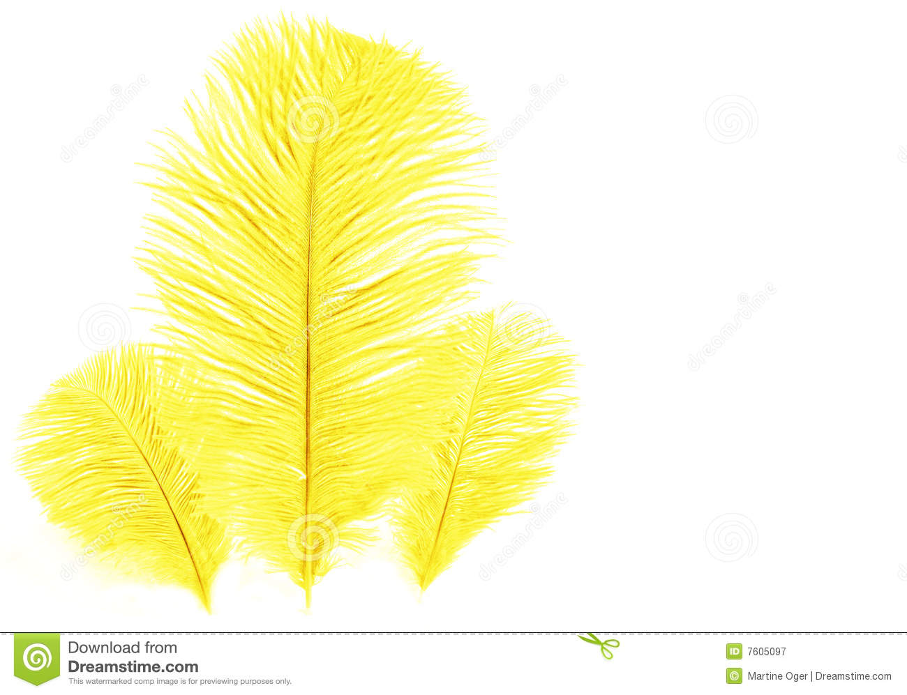 Yellow Feather  Royalty Free Stock Photography   Image  7605097