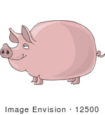 12500 Fat Pig Clipart
