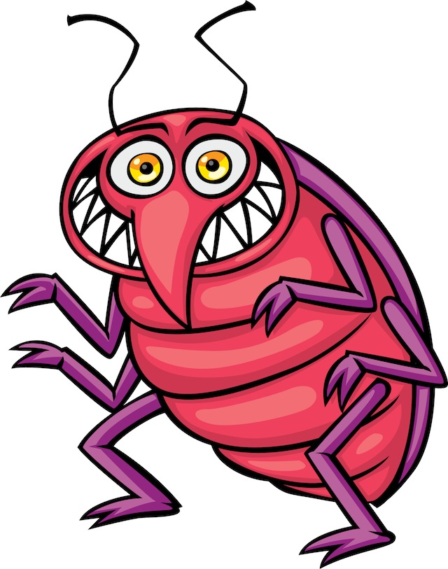 Bed Bug Clipart   Drawings