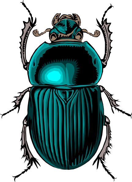 Beetle Bug Clip Art At Clker Com   Vector Clip Art Online Royalty