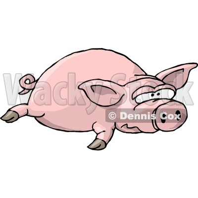 Big Fat Pig Laying On The Ground Clipart Illustration   Djart  5744