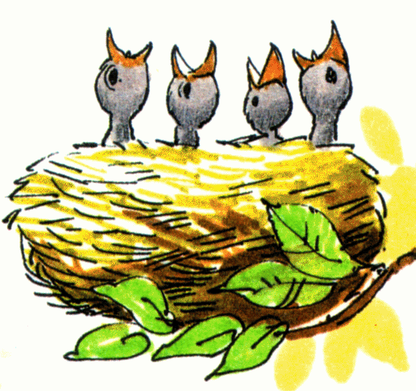 Bird Nest Clipart   Cliparts Co