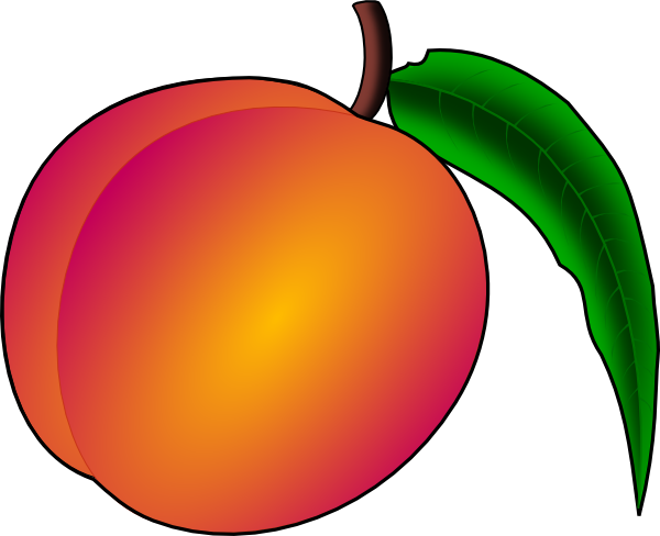 Coredump Peach Clip Art At Clker Com   Vector Clip Art Online Royalty