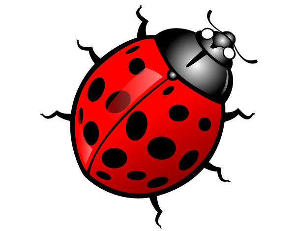 Ladybug Vector Image   Download Free Vector Graphics Vector Art