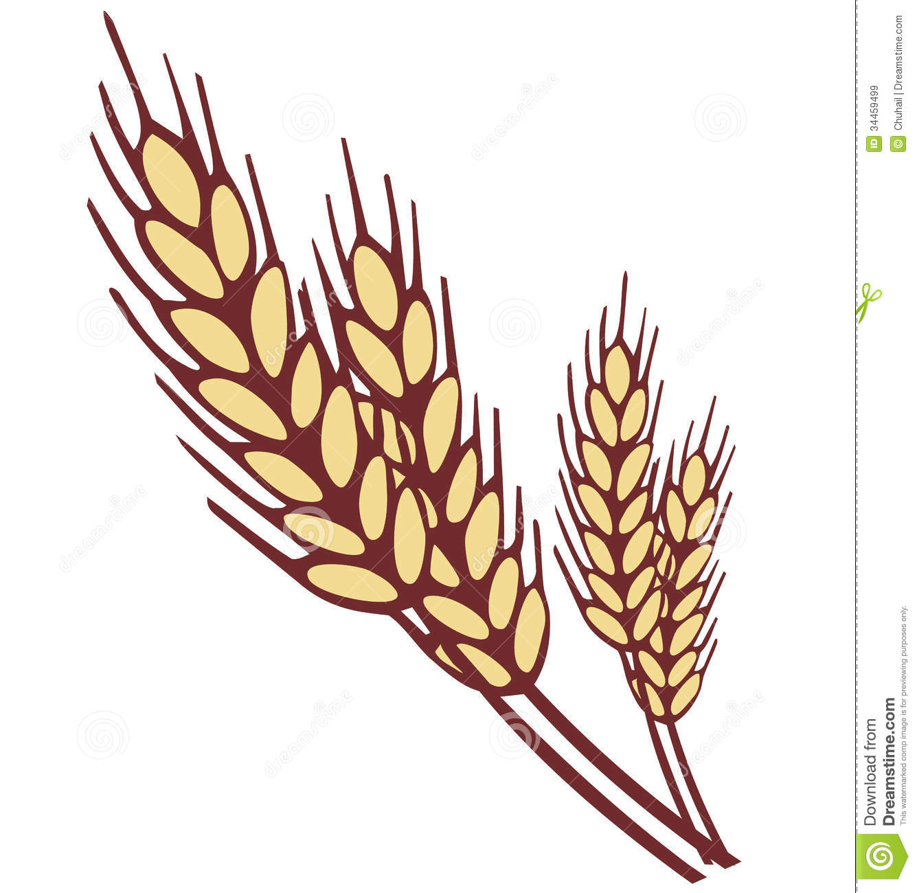 Wheat Ear Royalty Free Stock Images   Image  34459499