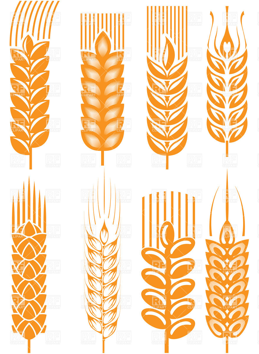 Wheat Ears Download Royalty Free Vector Clipart  Eps 