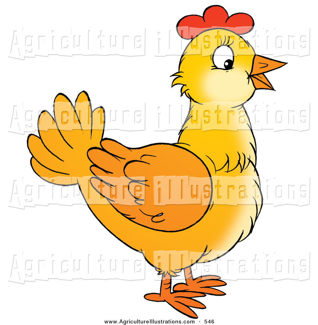 Agriculture Clipart Of A Yellow Farm Chicken In Profile Facing Right    