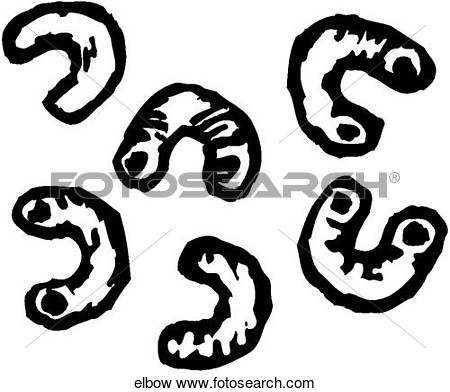 Clip Art Of Elbow Macaroni Elbow   Search Clipart Illustration