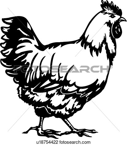 Clipart    Animal Chicken Farm   Fotosearch   Search Clip Art    