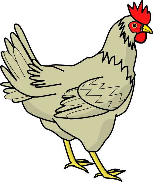 Davidone Chicken Clip Art At Clker Com   Vector Clip Art Online