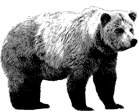 Drawing Of Grizzly Bear From Bear Clip Art