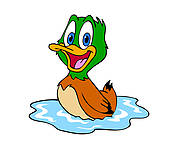 Mallard Duck Clipart Gg63714588 Jpg