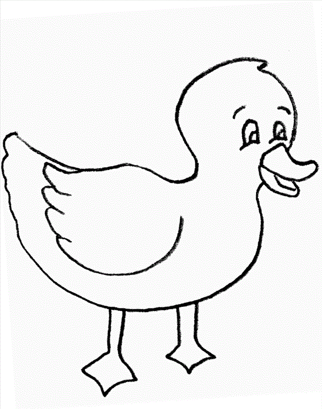 Mallard Duck Clipart Mallard Duck Coloring Pages