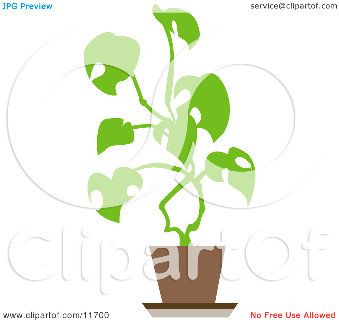 Potted House Plant Clipart Illustration By Geo Images
