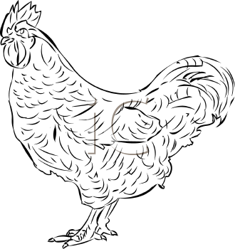 Royalty Free Chicken Clip Art Farm Animal Clipart