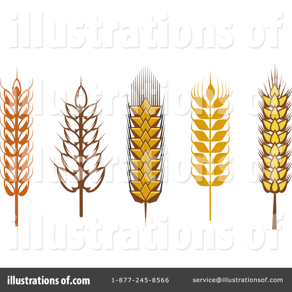 Wheat Clipart Wheat Clipart Illustration