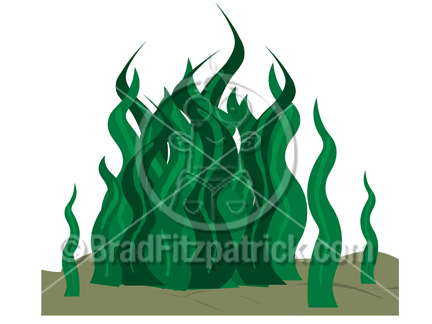 Cartoon Seaweed Clipart Picture   Royalty Free Sea Weed Clip Art