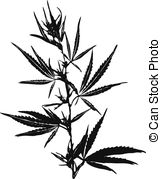 Marijuana Vector Clipart Eps Images  1430 Marijuana Clip Art Vector    
