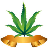 Medical Marijuana Stock Illustrations Vectors   Clipart    480