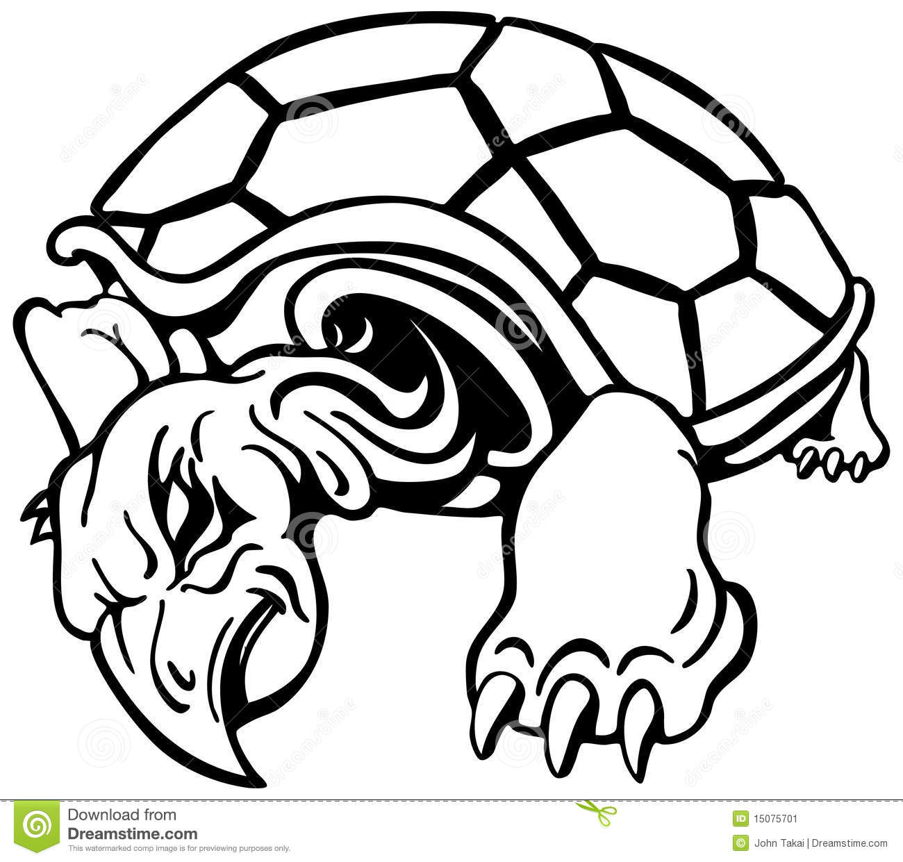 Angry Turtle Stock Image   Image  15075701