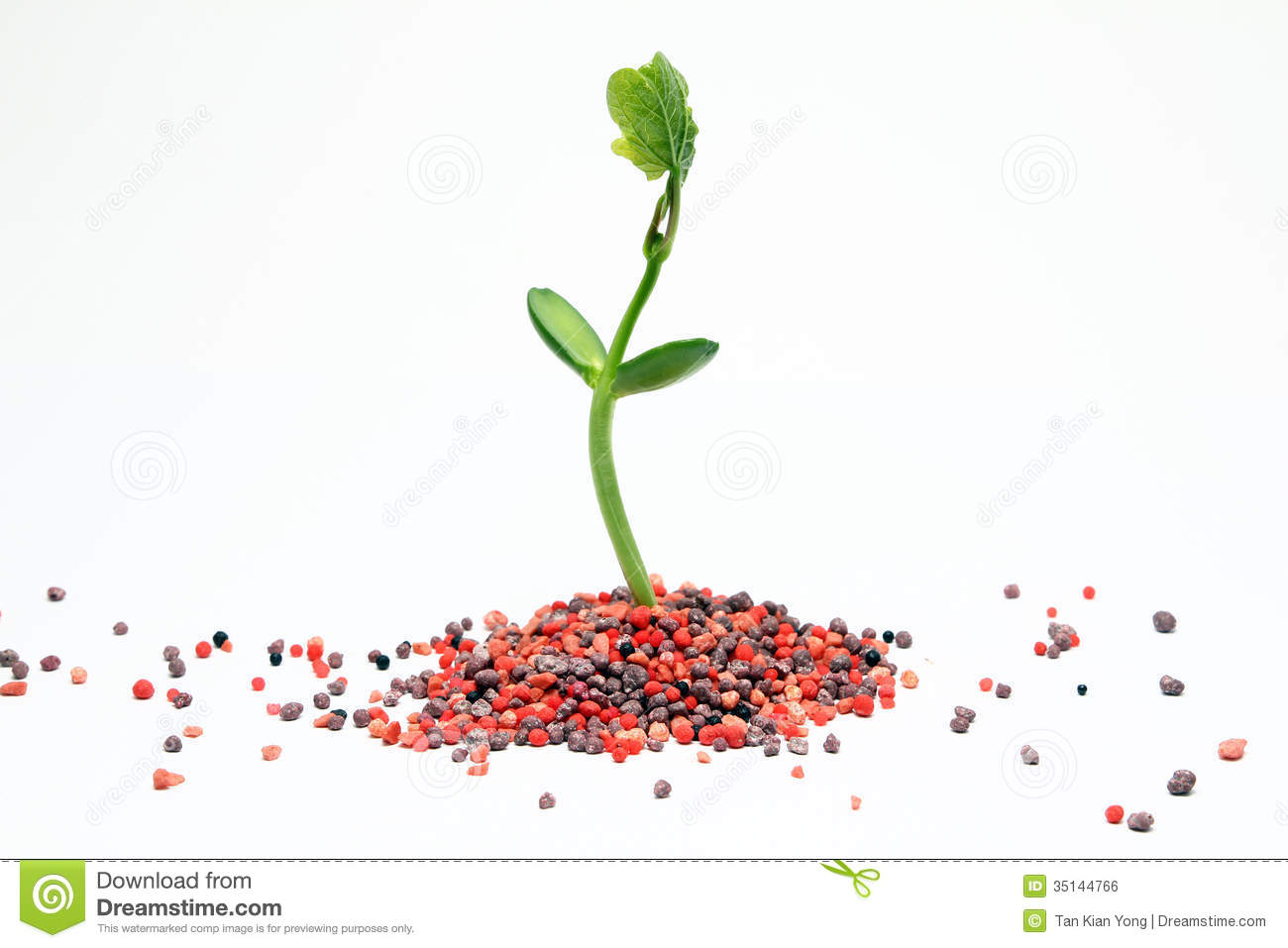 Chemical Fertilizer Agriculture Royalty Free Stock Image   Image