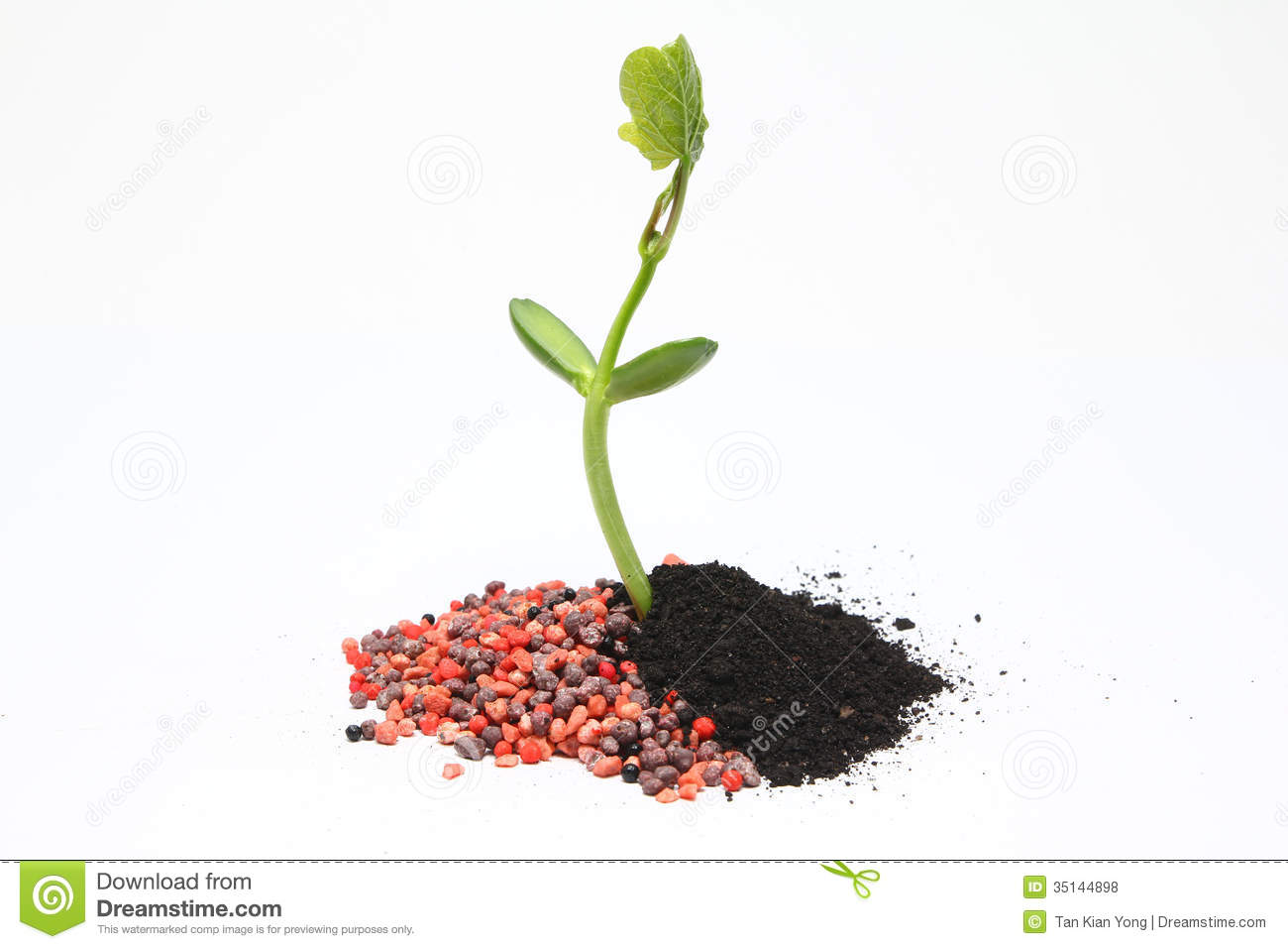 Chemical Vs Organic Fertilizer Agriculture Royalty Free Stock Photos