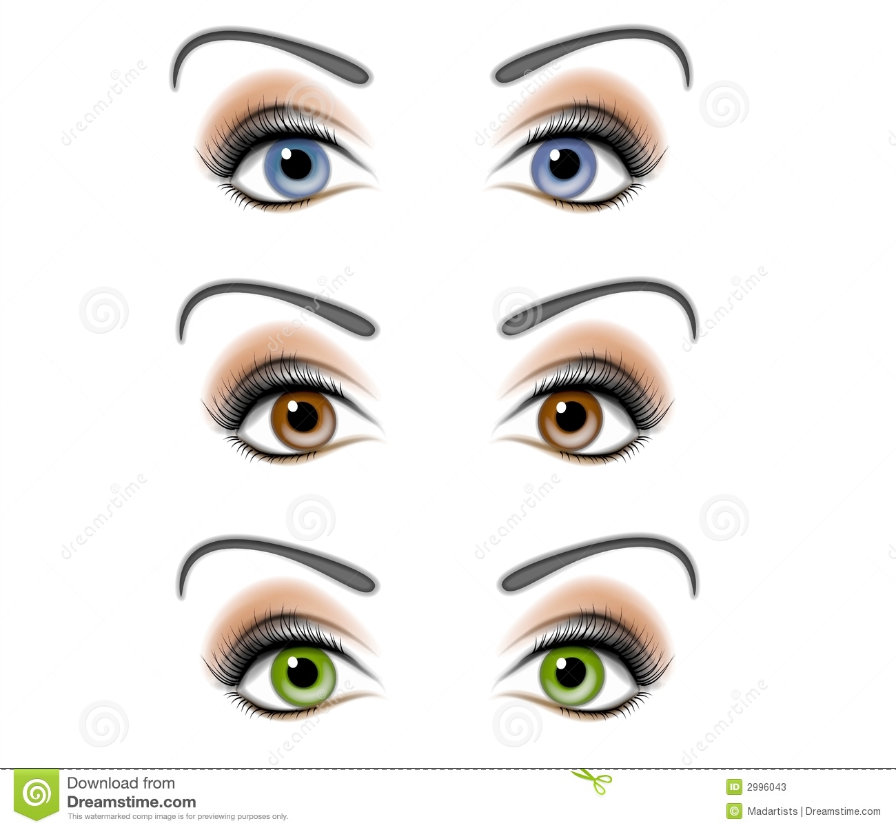 Eyelash Clipart Female Human Eyes Illustration