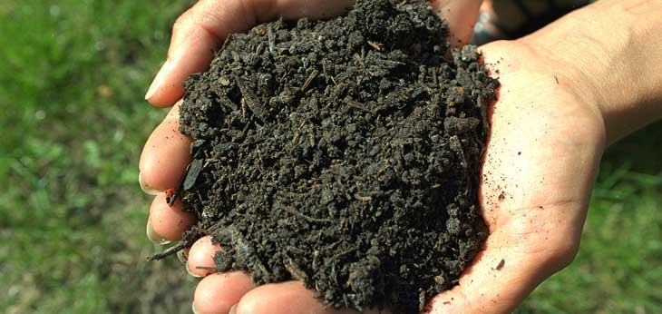 High Quality Natural Fertilizer Compost Provides The Humus That