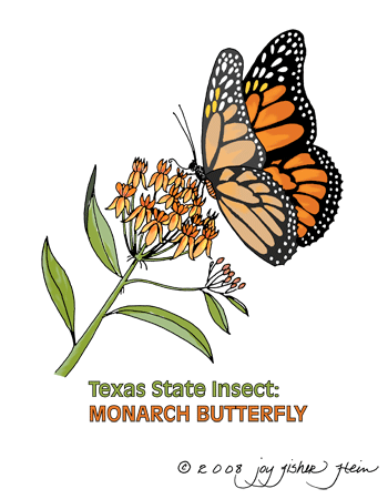 Monarch Clip Art Gif File With Transparent Background 350 X 450    