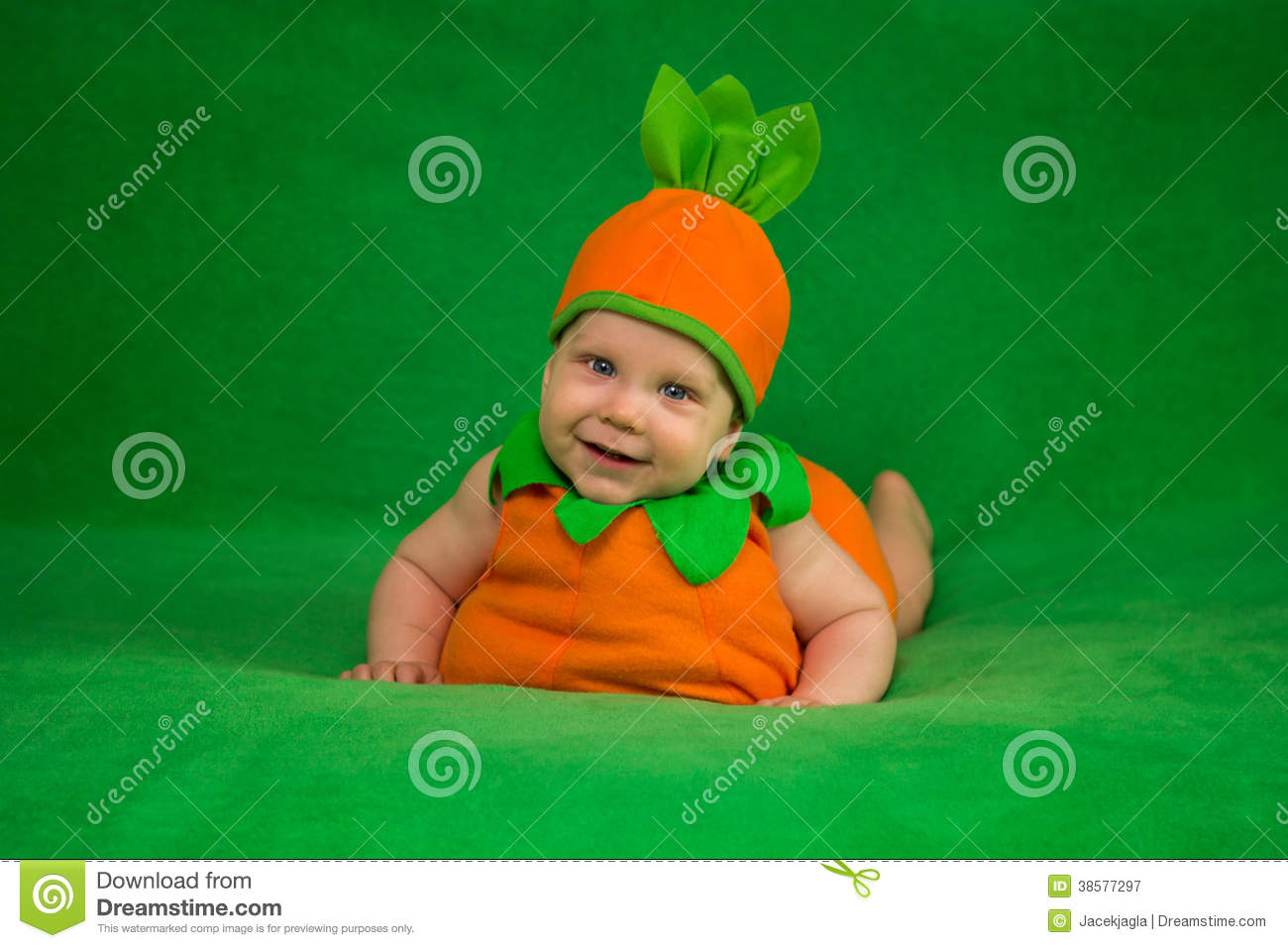 Pumpkin Baby Royalty Free Stock Photography   Image  38577297