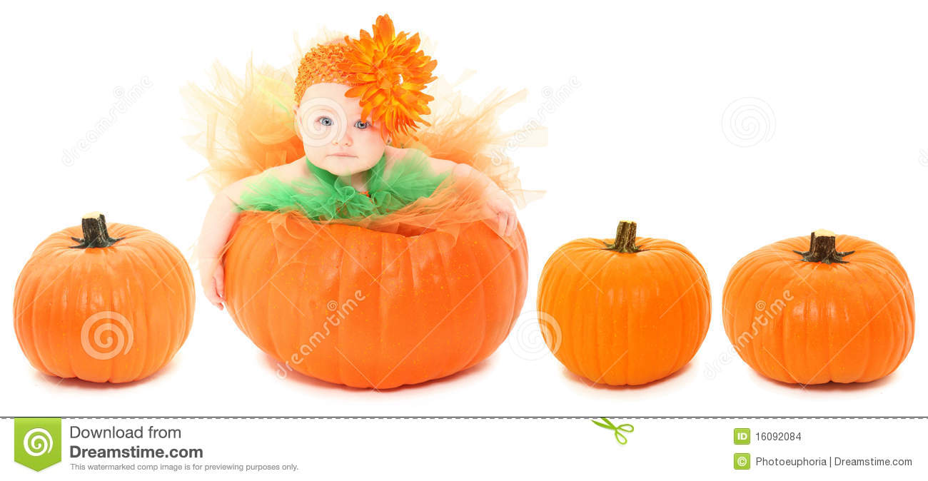 Pumpkin Baby Stock Images   Image  16092084