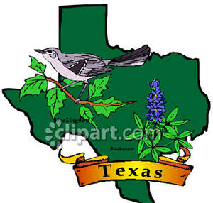 State Bird And Flower Of Texas Over A Texan Map   Royalty Free Clipart    