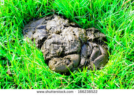 Subject Which Yield Manure Organic Fertilizer In Asia   Stock Photo