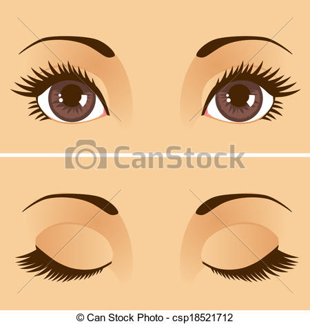 Vector Clip Art Of Open Closed Eyes   Closeup Detail Illustration Of
