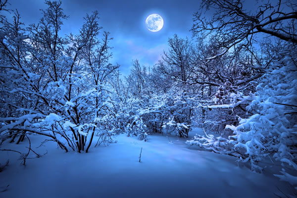 30 Stunning Winter Scenes