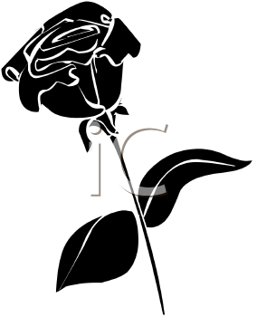 Black And White Rose Silhouette   Royalty Free Clip Art Picture
