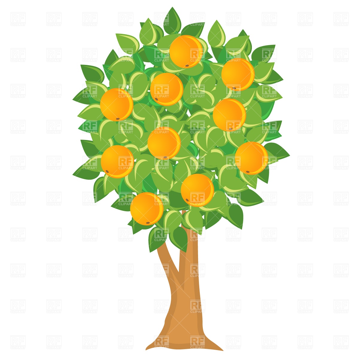 Food And Beverages   Orange Tree Download Royalty Free Vector Clipart