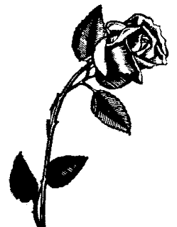 Silhouette Clip Art  Rose Silhouette Clipart