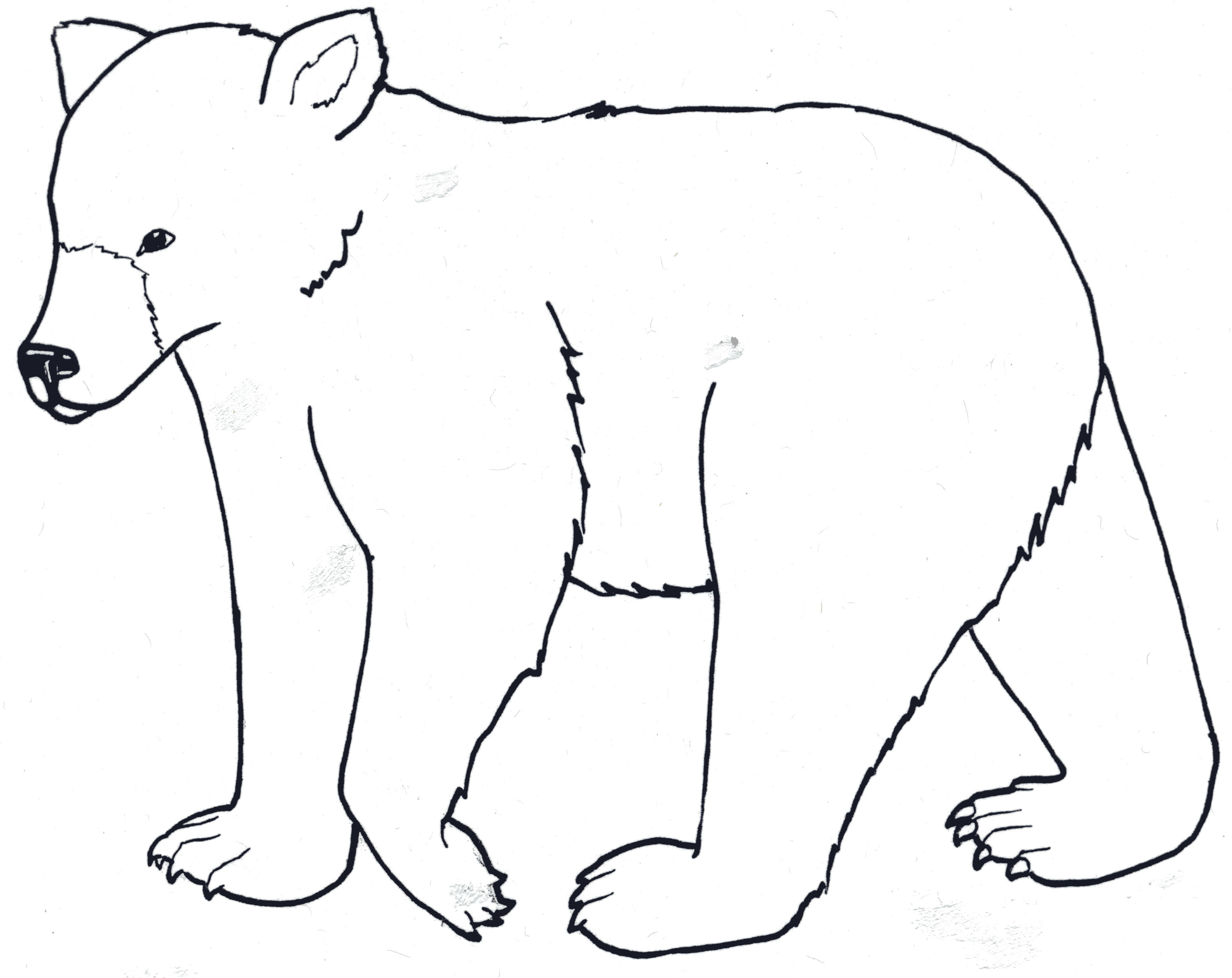 Standing Black Bear Drawing   Clipart Panda   Free Clipart Images