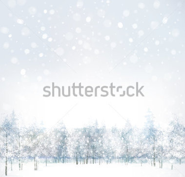 Textures   Vector Of Winter Scene With Forest Background