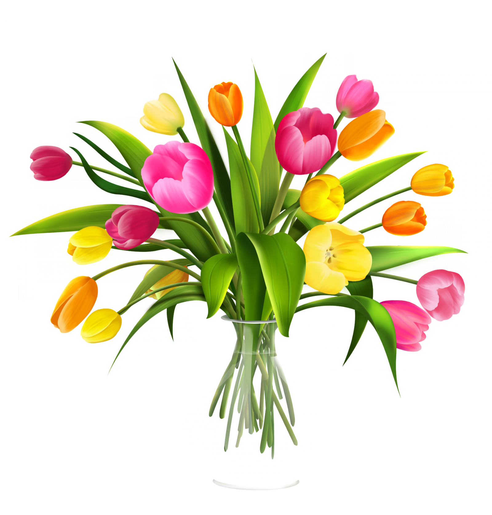 Vase Clipart