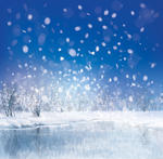 Winterwinter Backgroundwinter Landscapewinter Scenewinter Snow