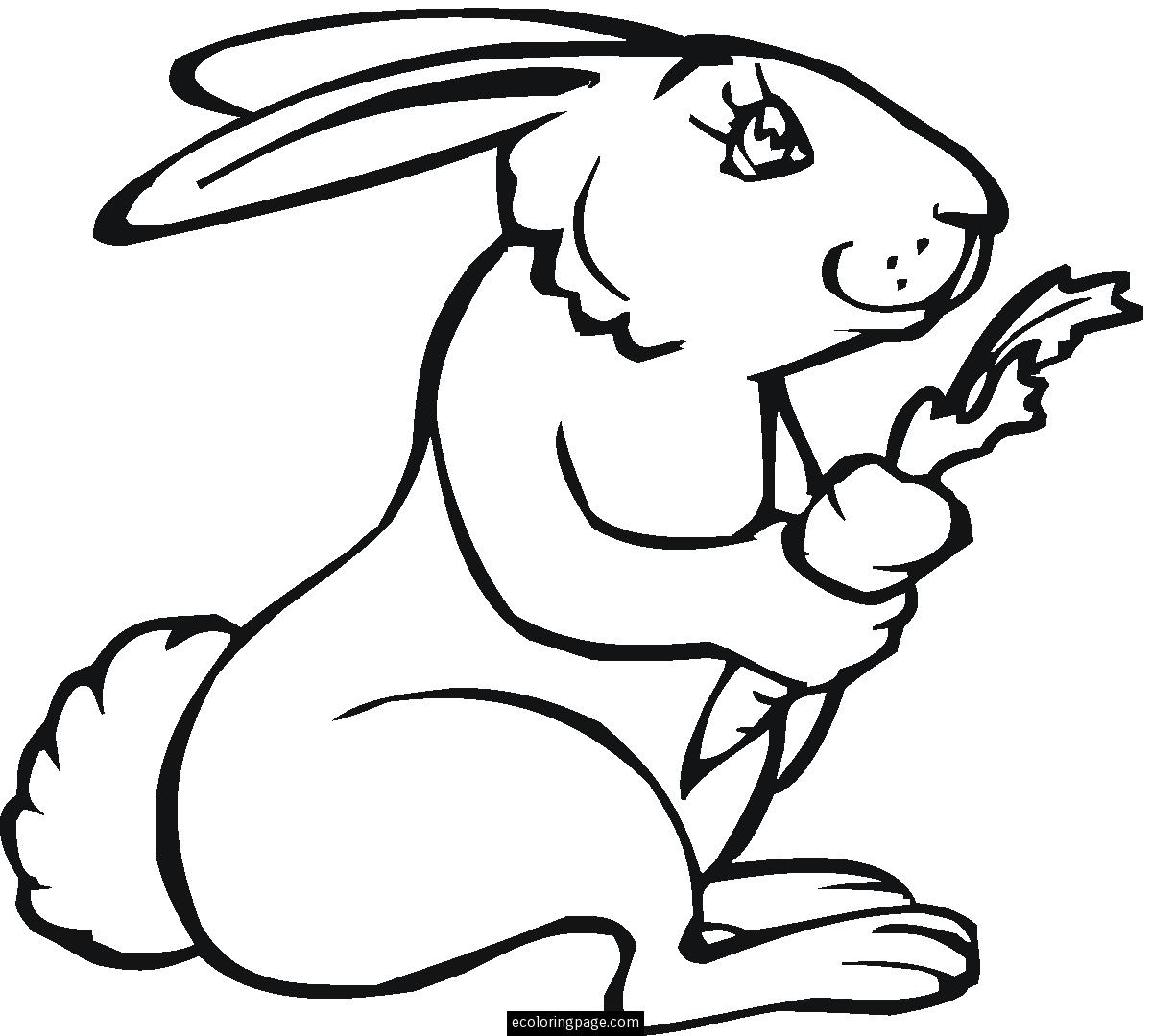 Bunny Rabbit Eating A Carrot Coloring Page For Kids Printable