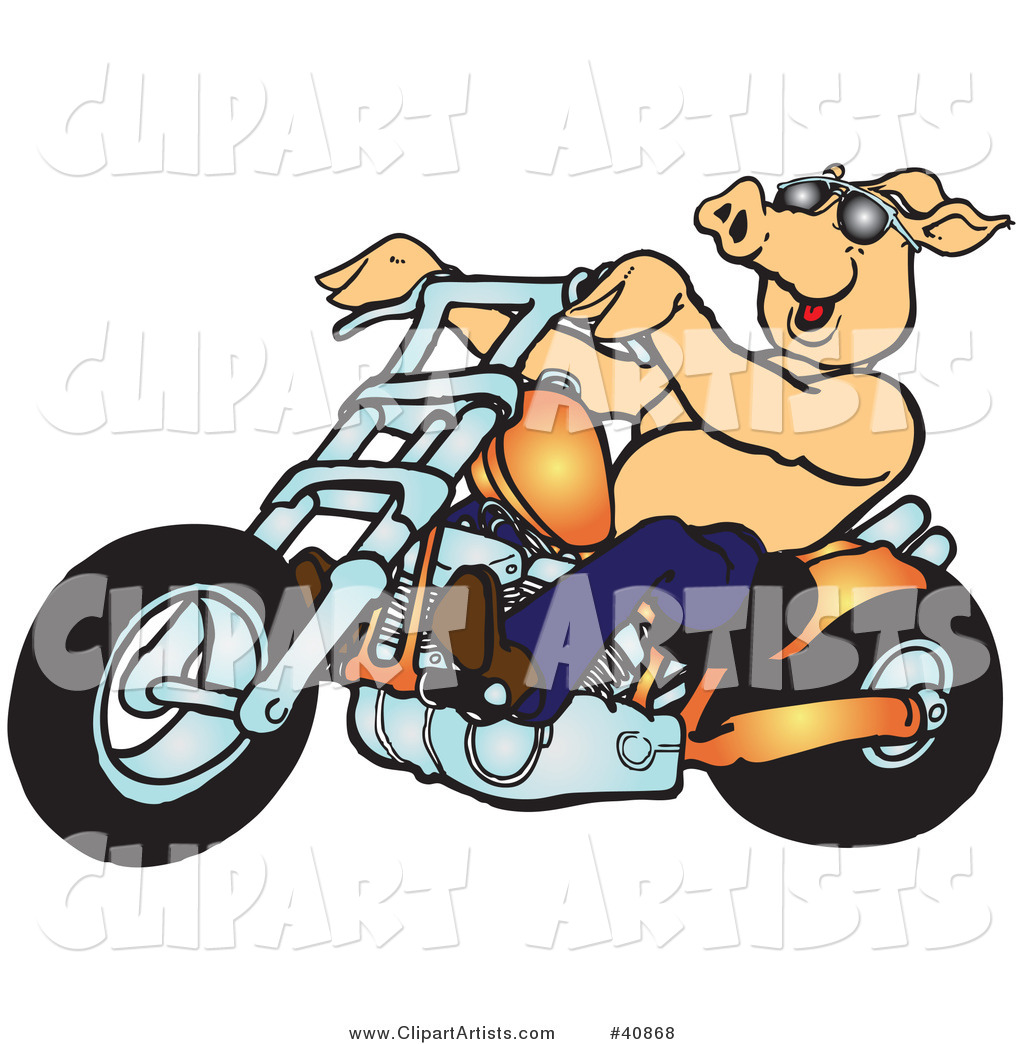 Vector  40868   Happy Shirtless Pig In Shades Riding An Orange    