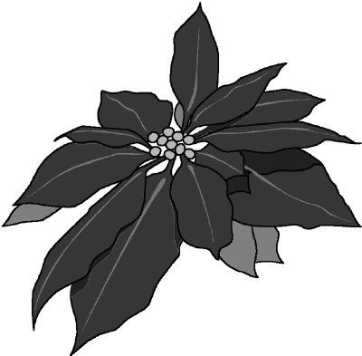 Com Holiday Christmas Decorations Poinsettia Poinsettia Png Html