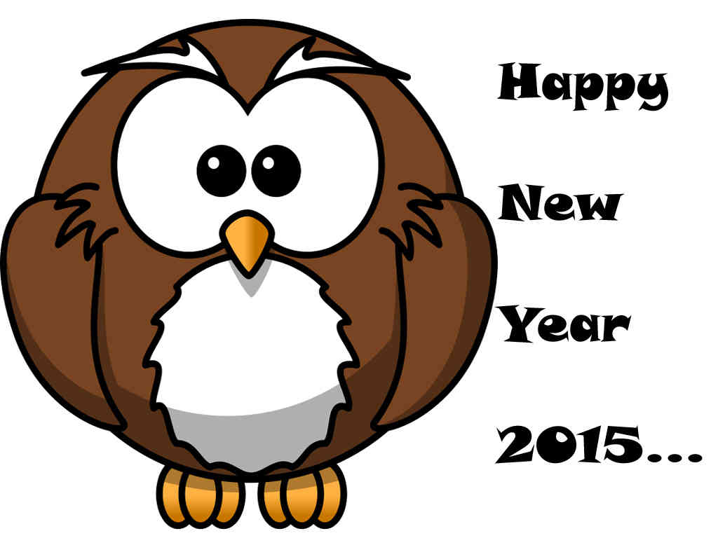 Happy New Year 2015 Funny Wallpaper 3